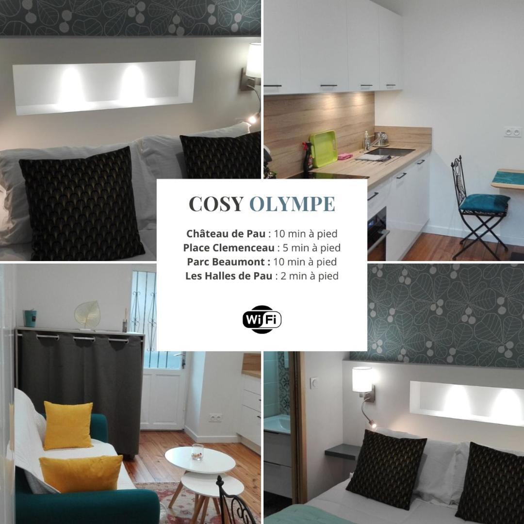 Cosy Olympe - 1Ch - Hyper Centre Quartier Des Halles Pau Extérieur photo